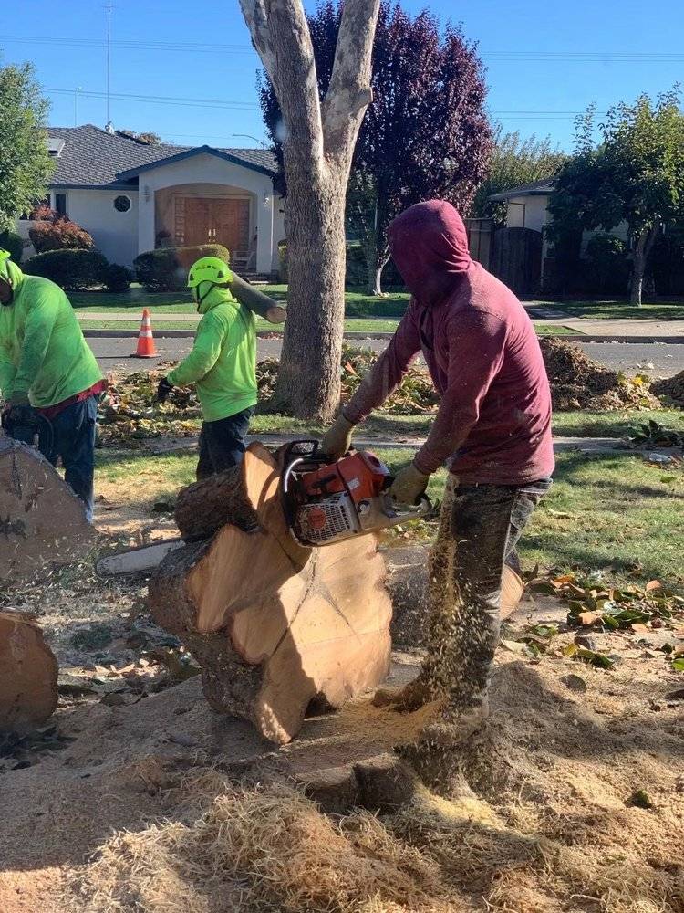 Partial Kitchen Remodel