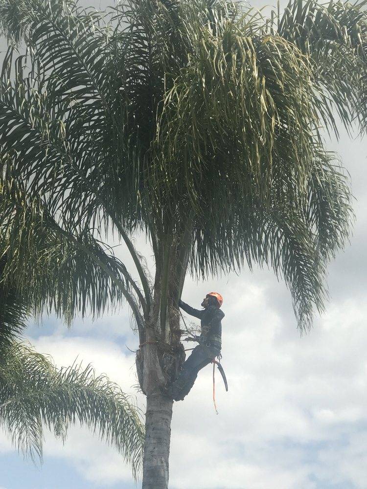 Full Kitchen Remodel